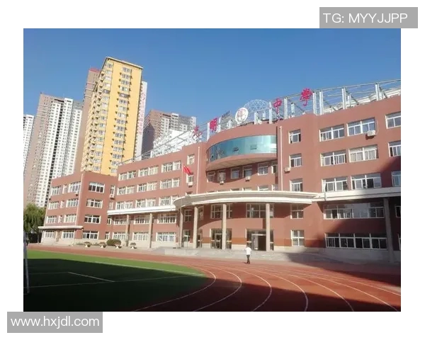 史鸿飞的传奇人生与奋斗历程：从平凡到卓越的成长之路